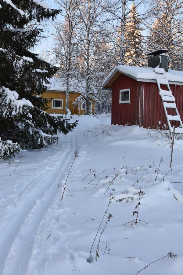 Villa Old Wooden House 20 Min From Koli Tuopanjoki Exterior foto